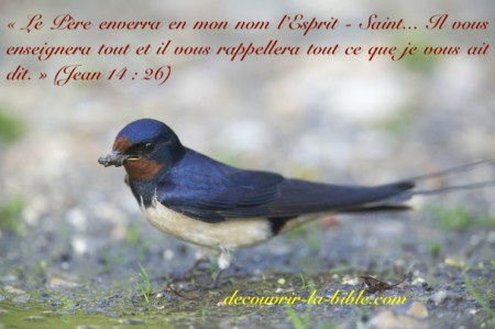 L'Esprit-Saint enseigne